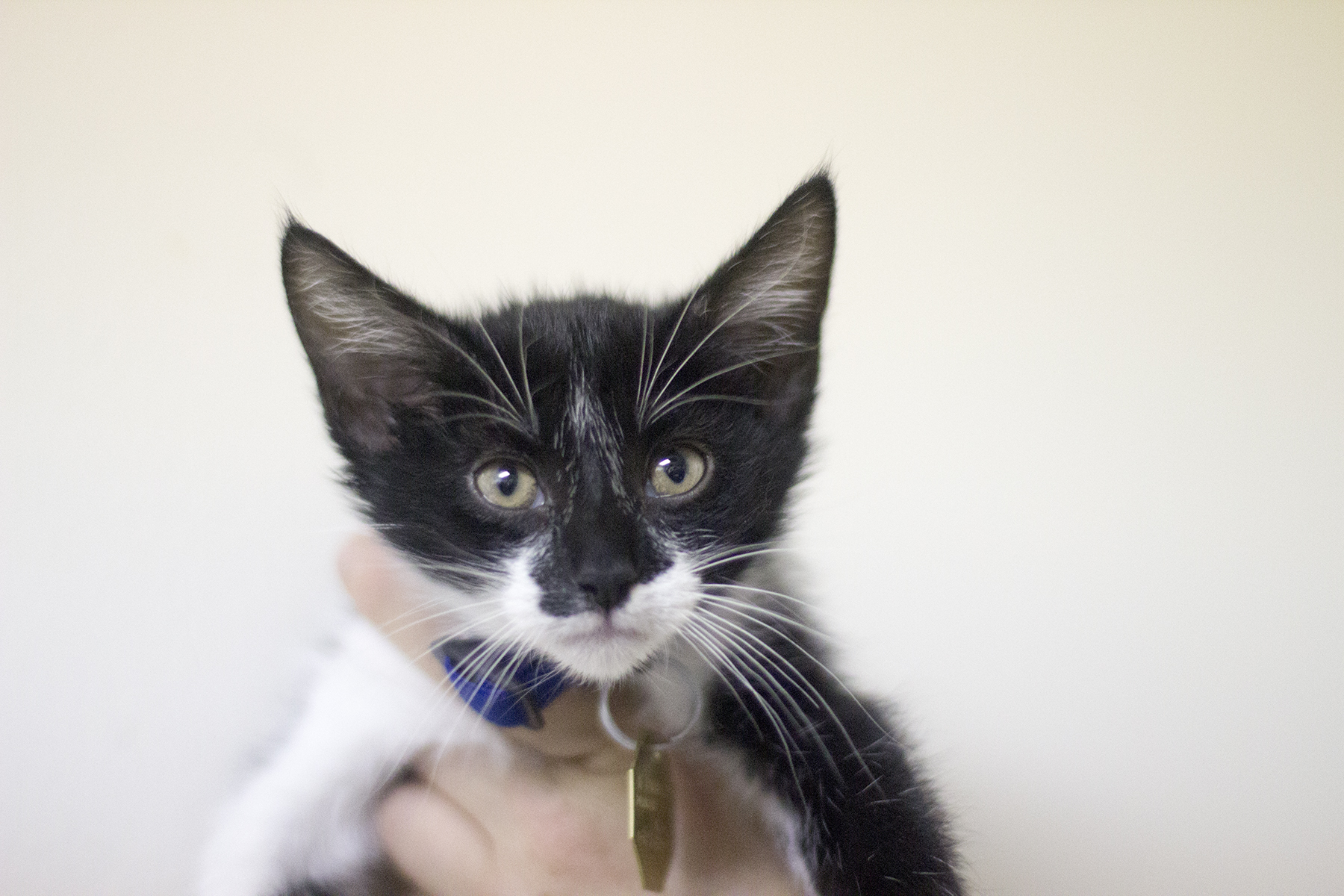 Milo