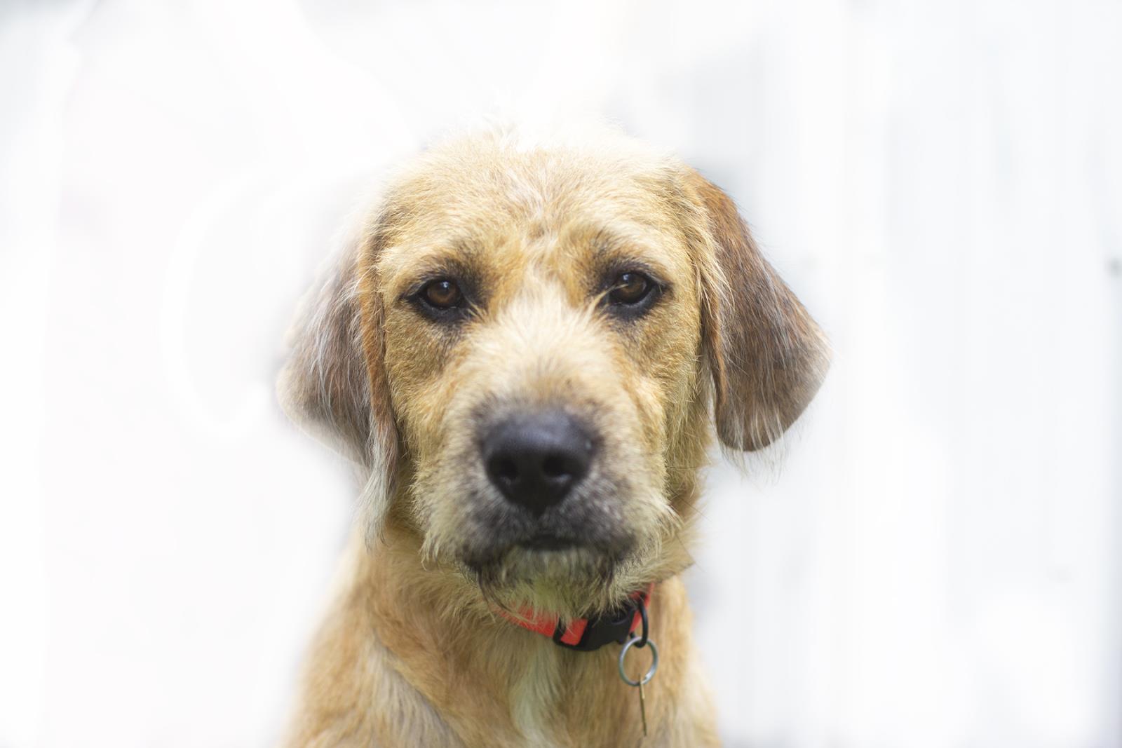 Charlie
