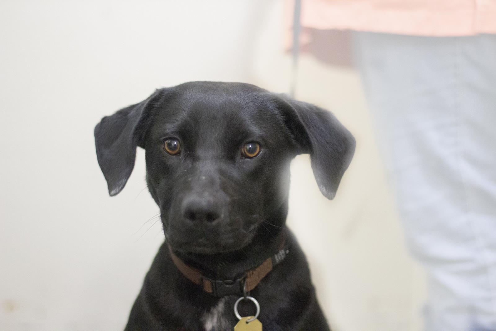 Coco