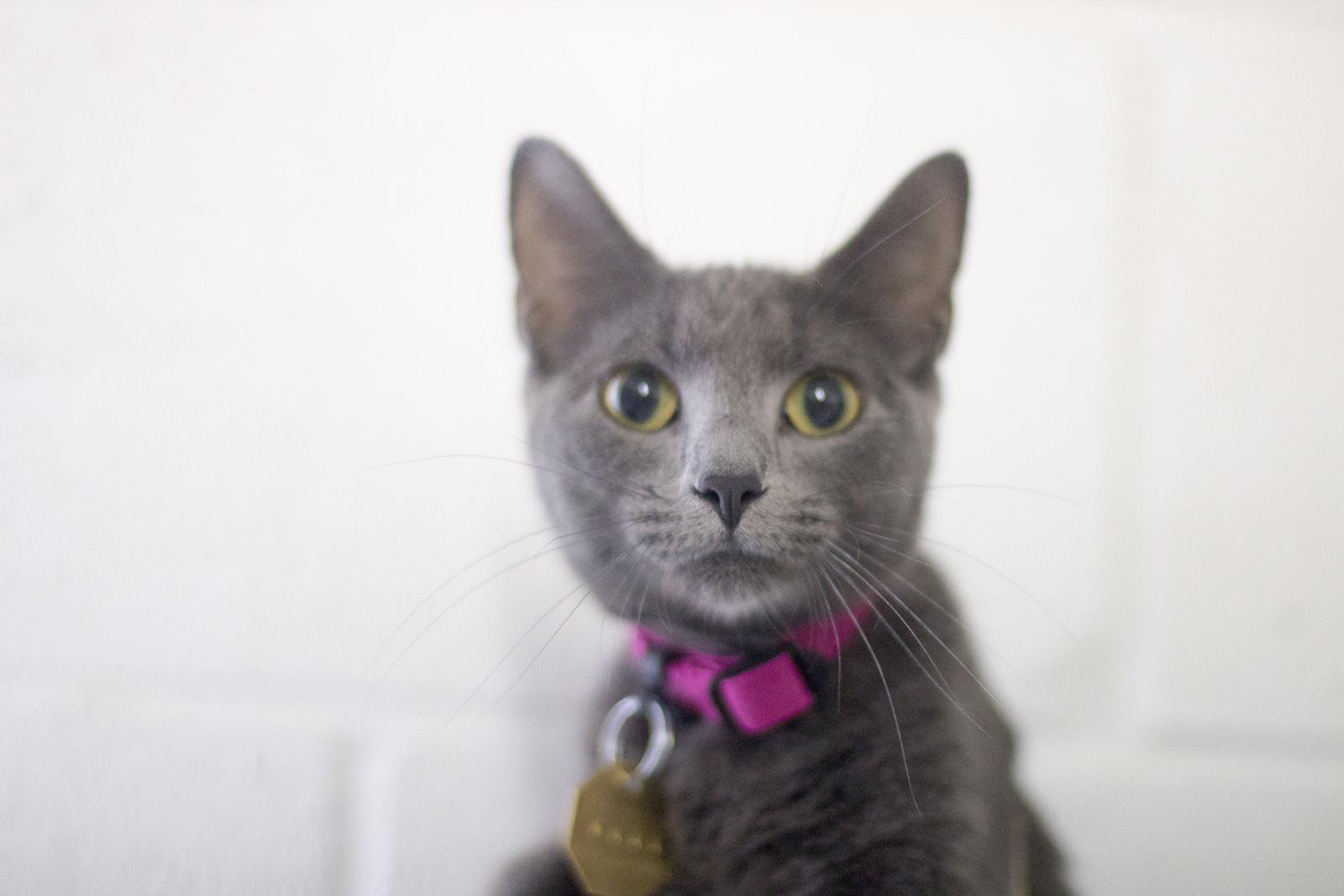 Luna