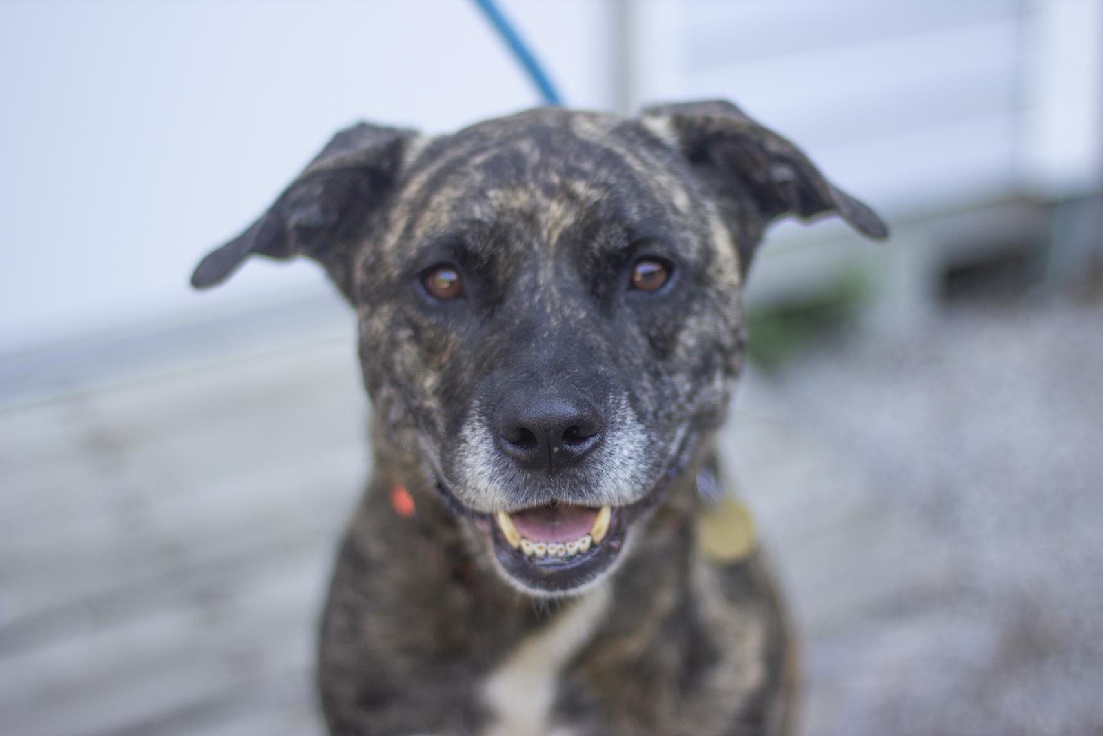 Ruger