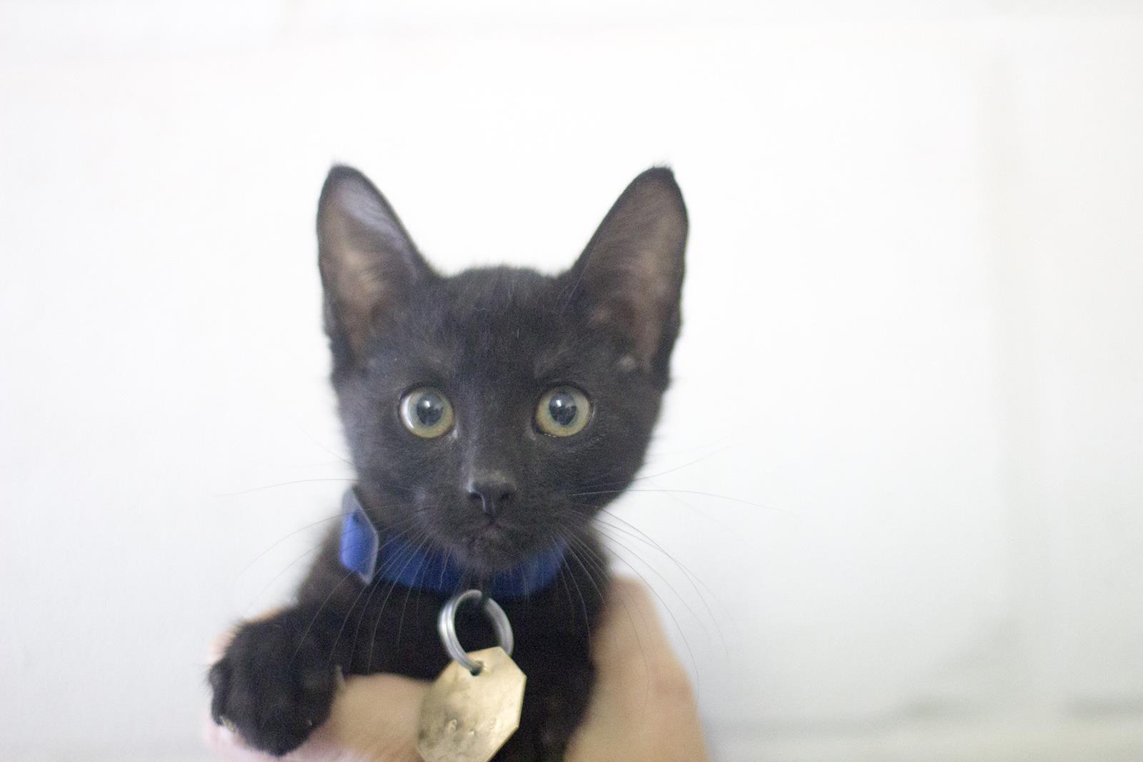 Salem
