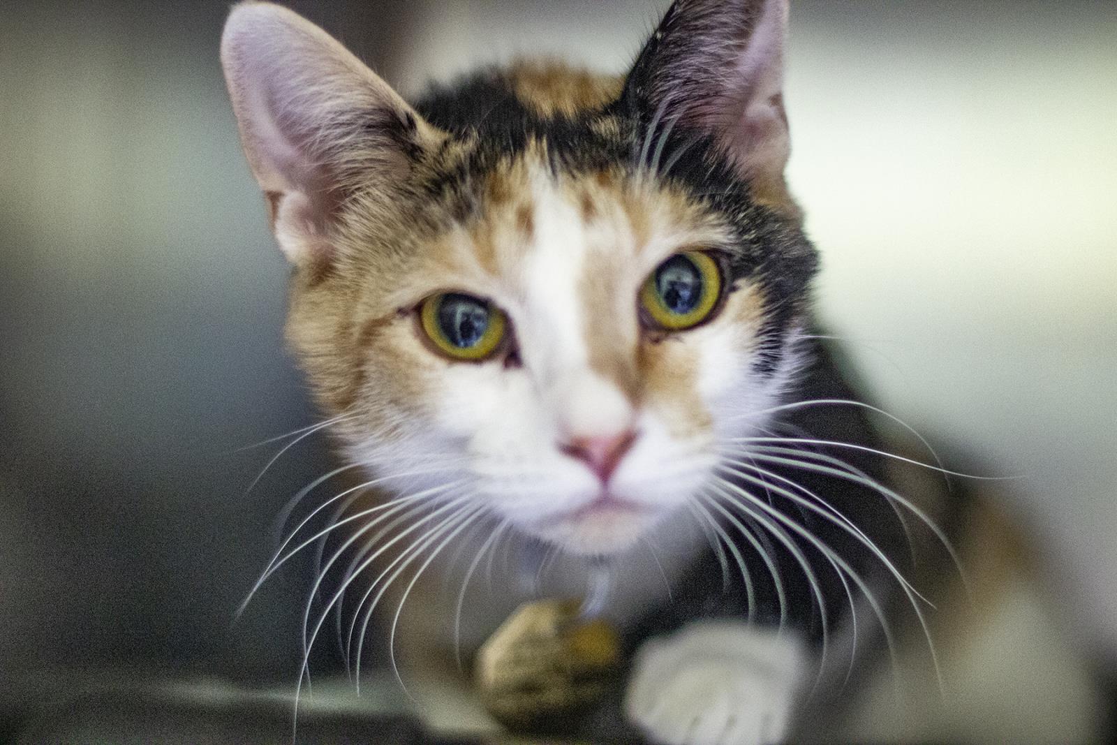 Suzie
