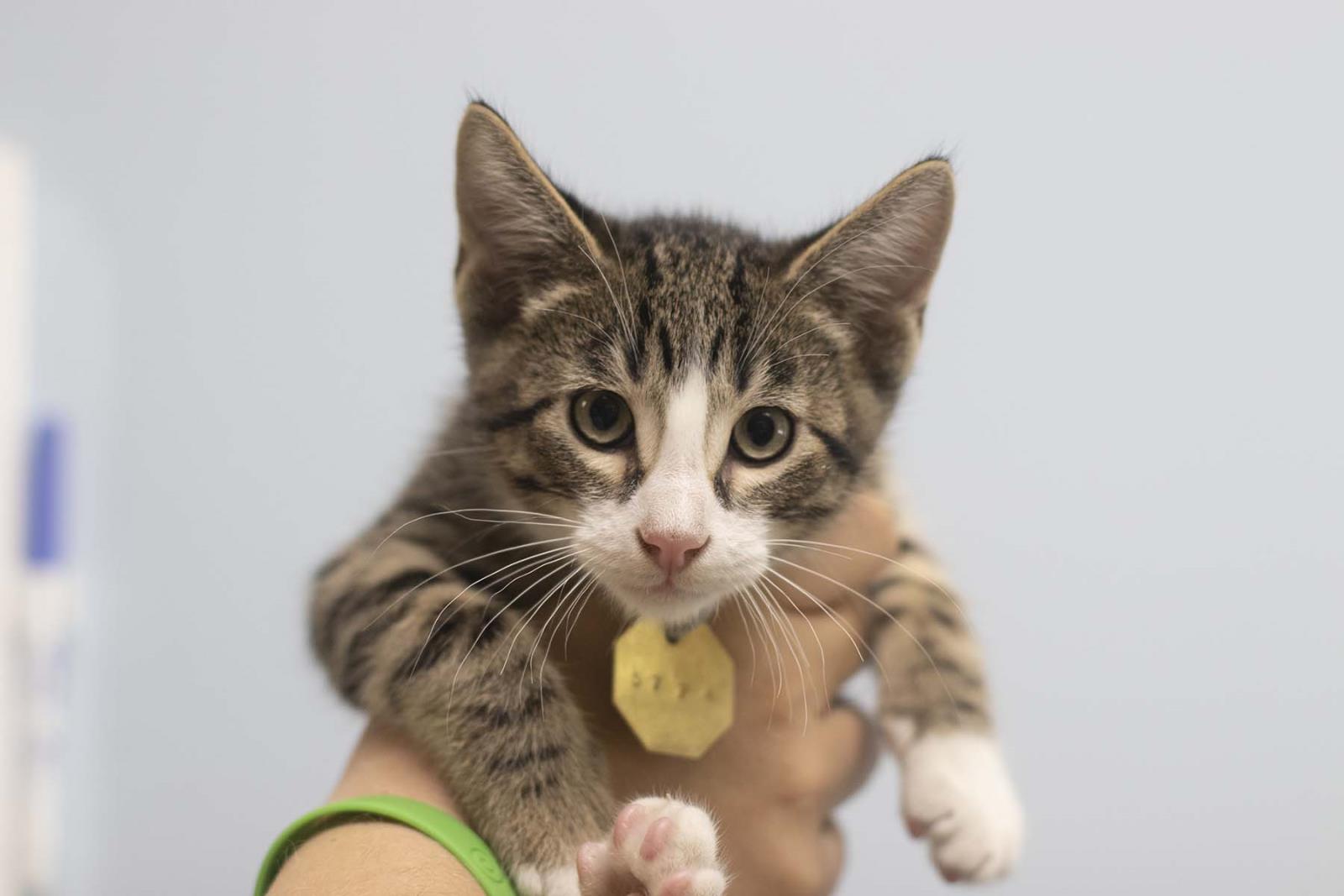 Tinker