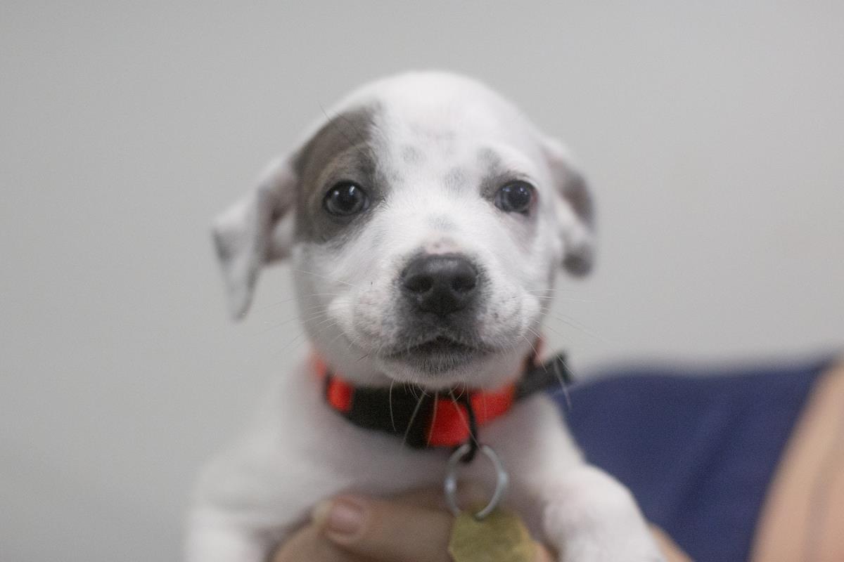 Casper