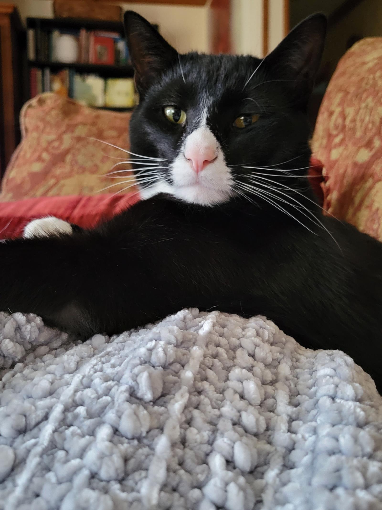 Feets