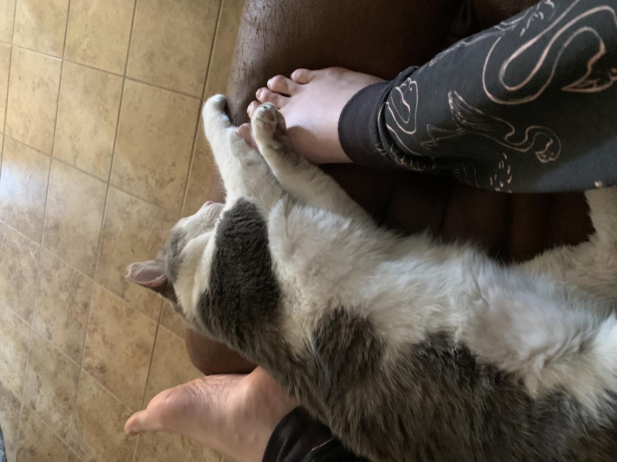Jojo