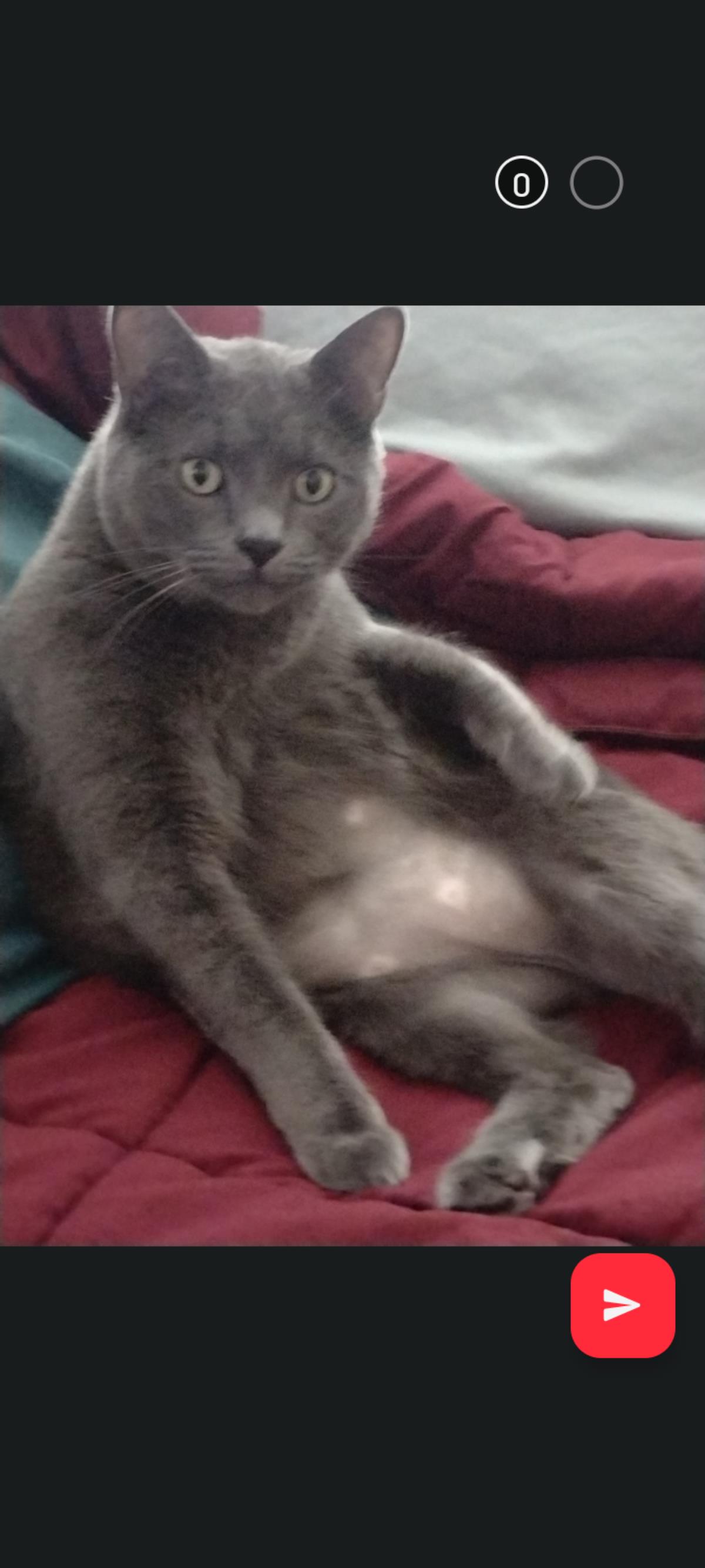 Kitkat