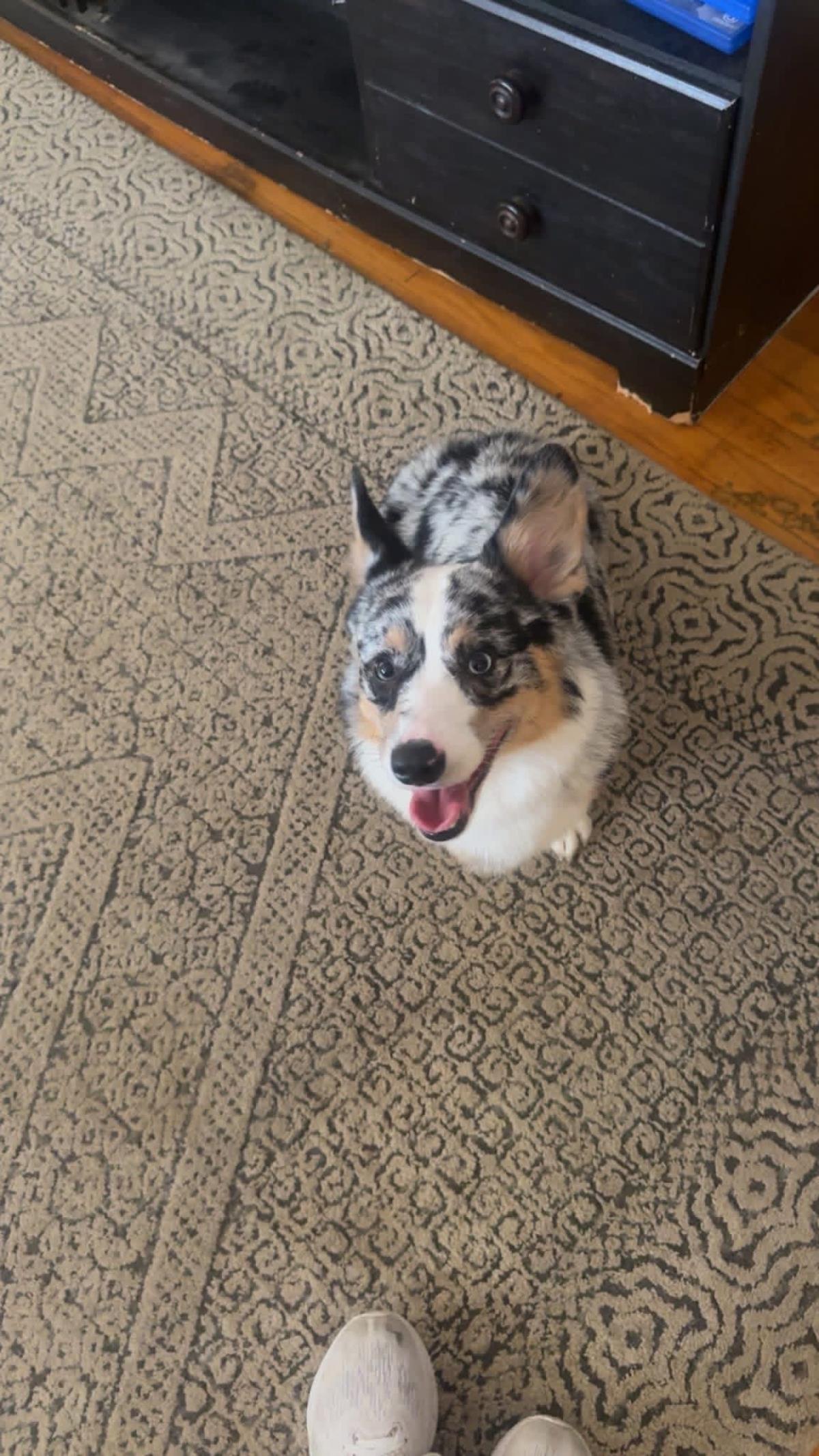 Maverick 