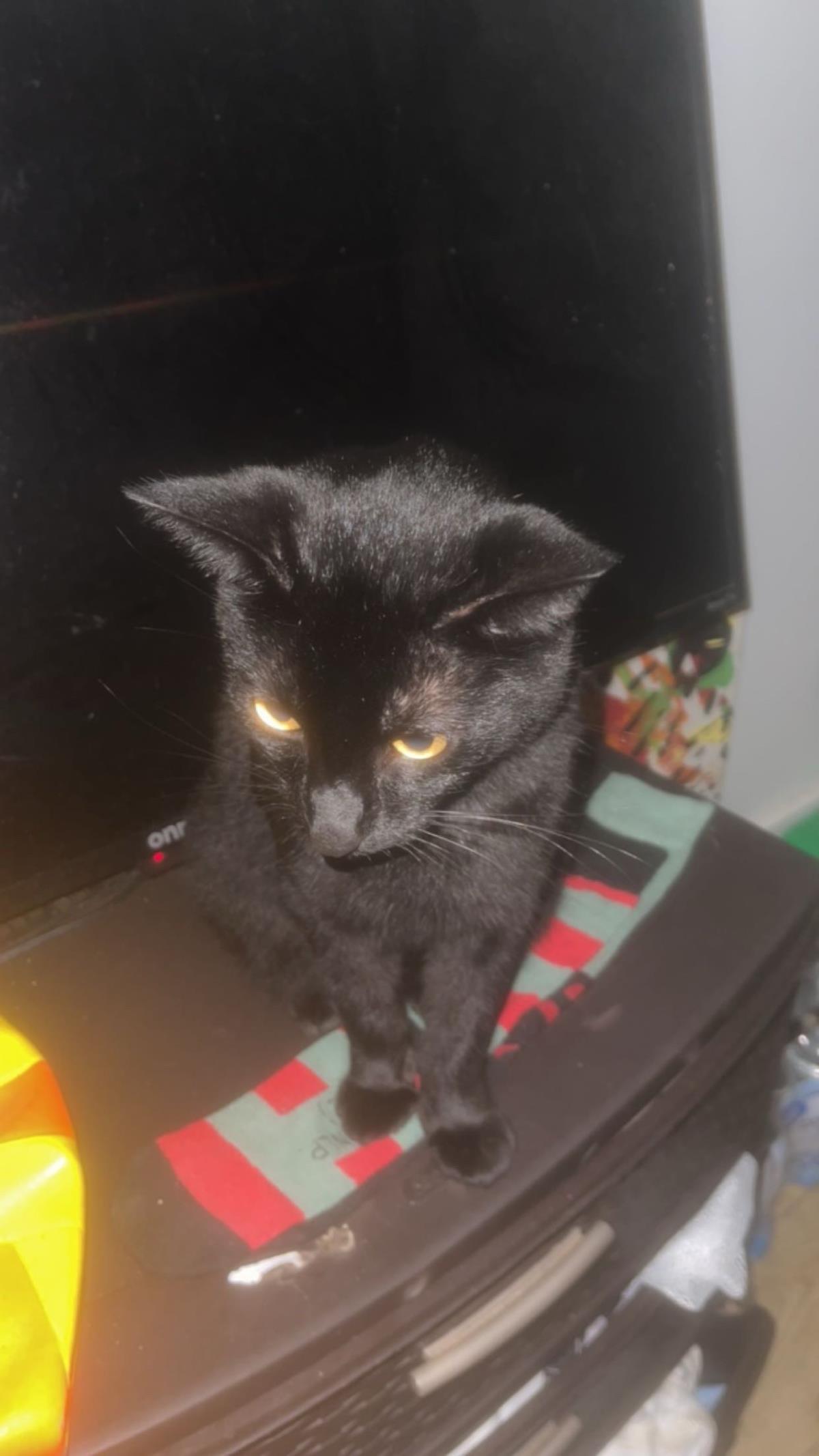 hades