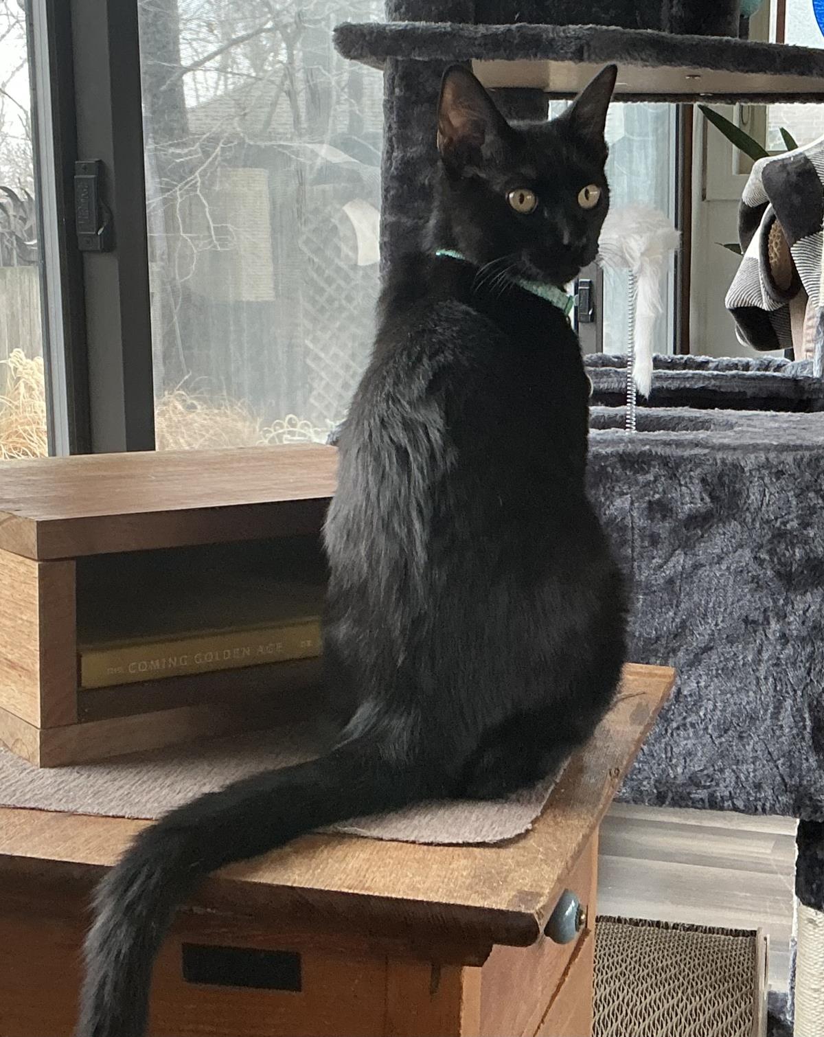 Oscar