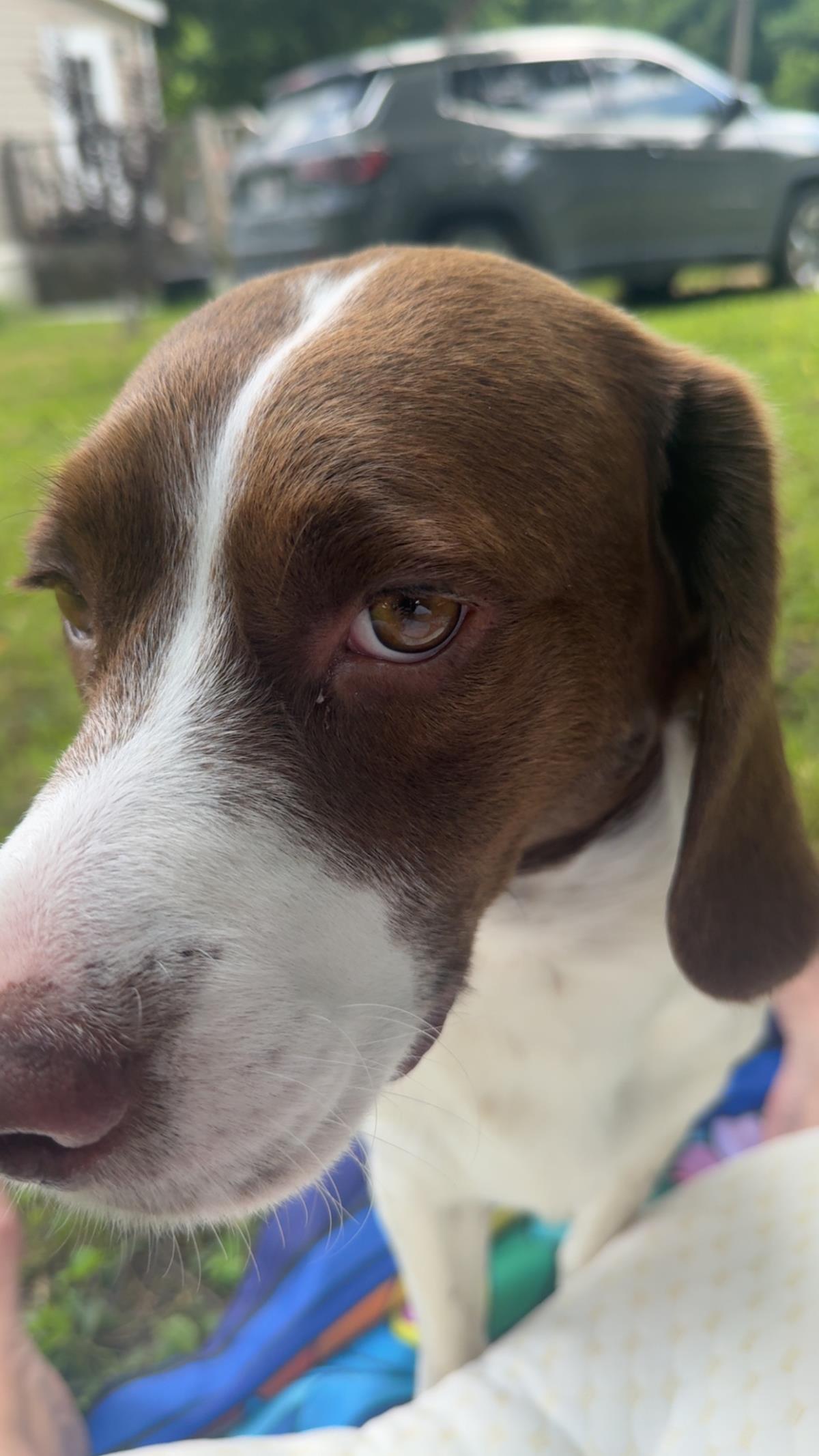 Oakley