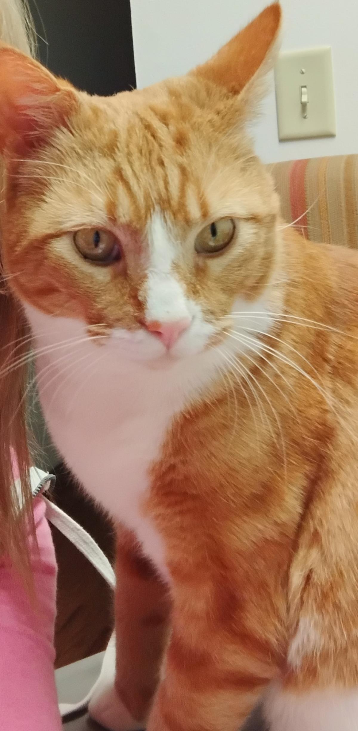 George
